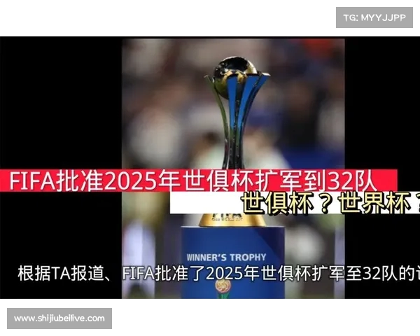 2025新版世俱杯奖金创历史新高引发全球关注和热议